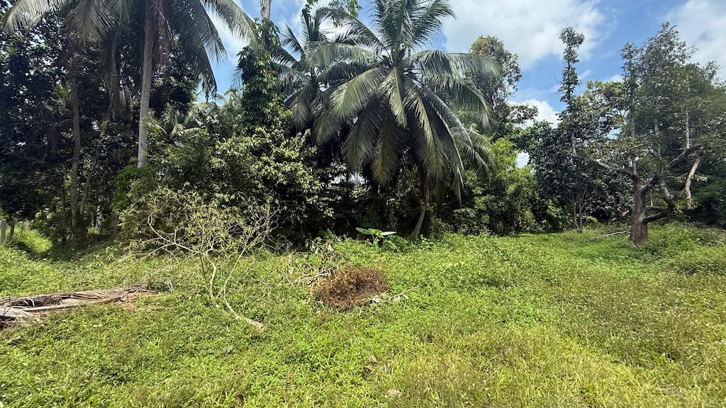 Land For Sale In Lipa Noi Koh Samui