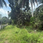 Land For Sale In Lipa Noi Koh Samui