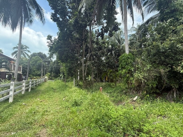 Land For Sale In Lipa Noi Koh Samui