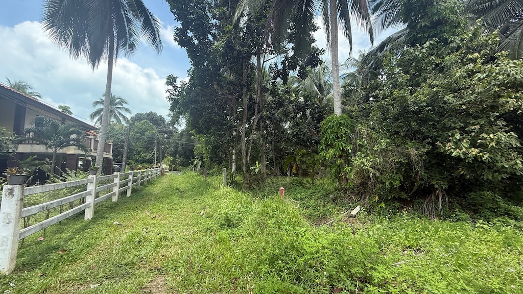 Land For Sale In Lipa Noi Koh Samui
