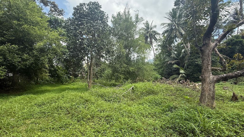 Land For Sale In Lipa Noi Koh Samui