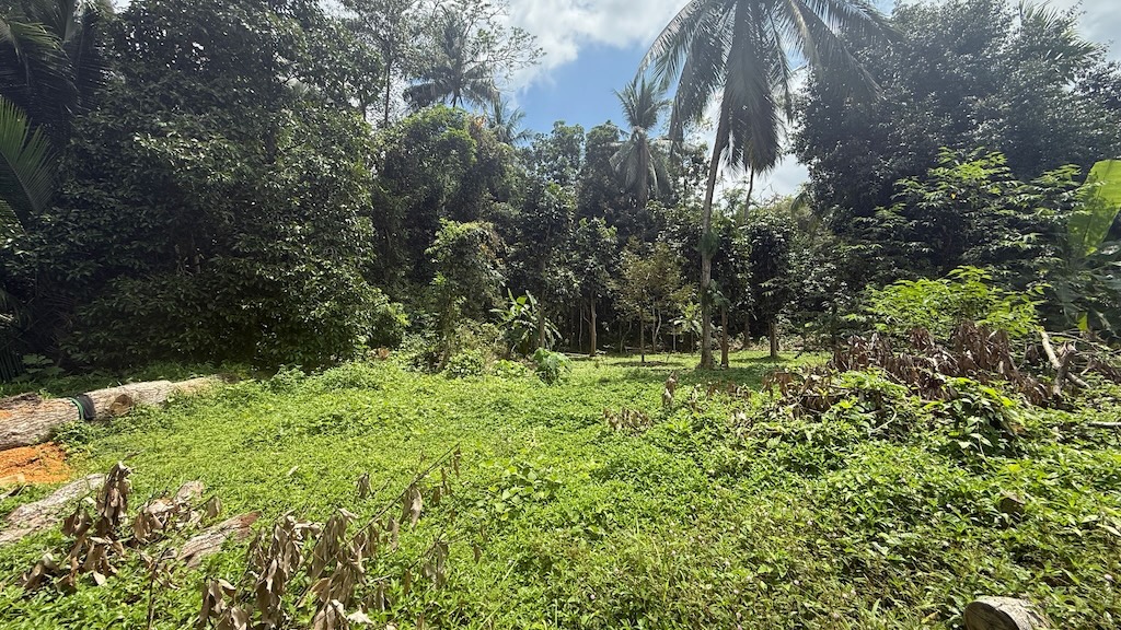 Land For Sale In Lipa Noi Koh Samui