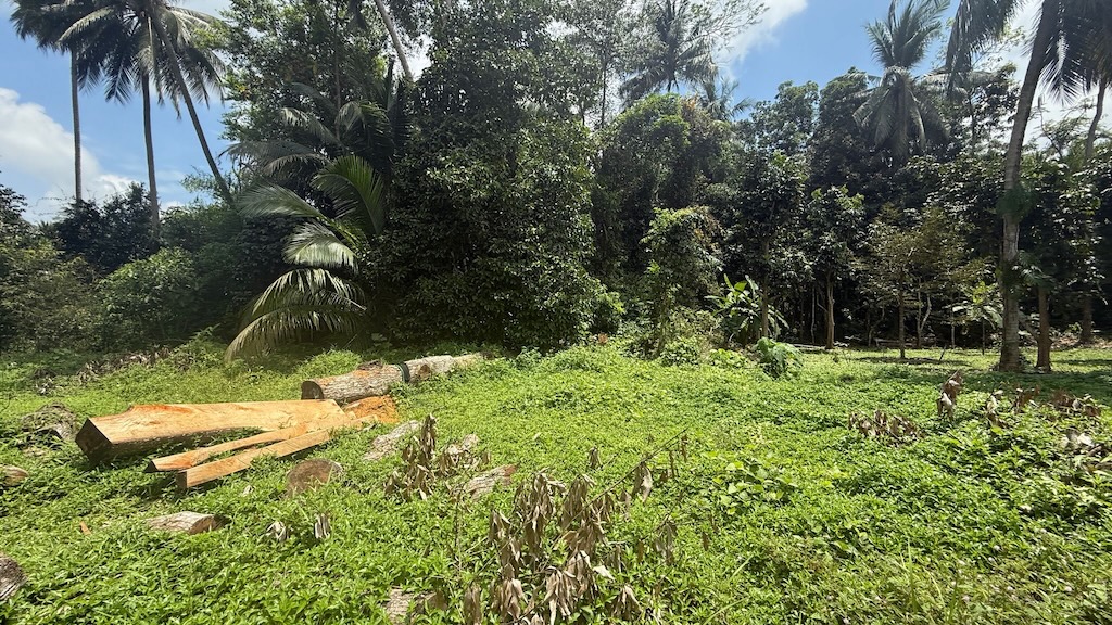 Land For Sale In Lipa Noi Koh Samui