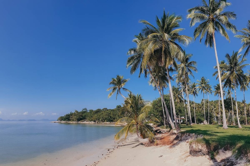 Koh Samui Beachfront Land In Thongkrut