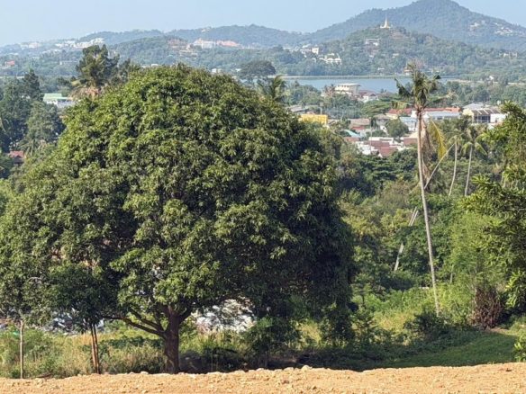 Chaweng Land Plot View