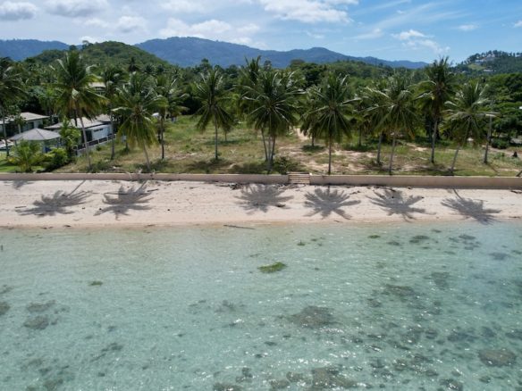 Ko Samui Beachfront Land For Sale Beach