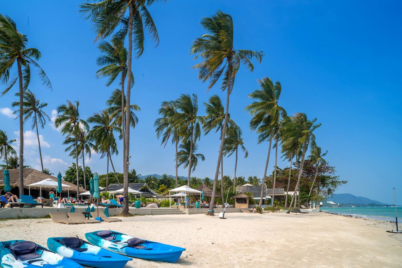 Koh Samui Beach Club For Sale Koh Samui Beach Club For Sale