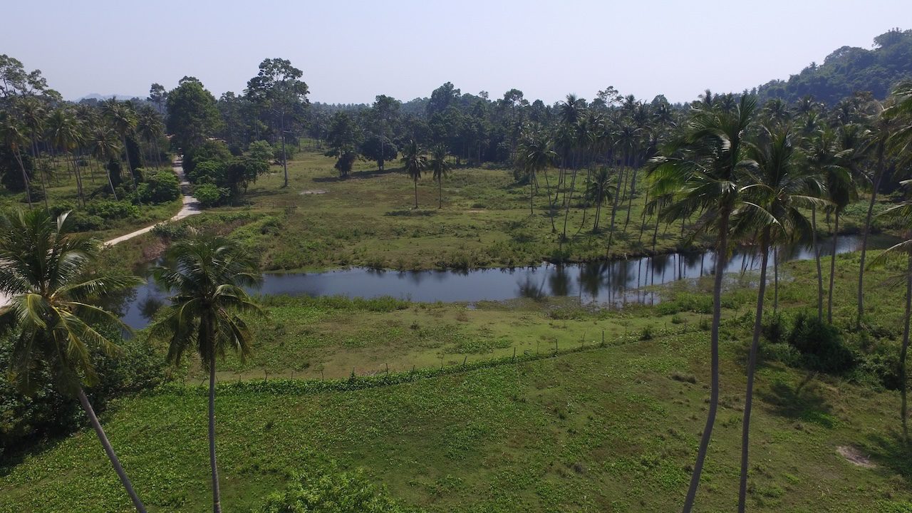 Koh Samui Beach Parcel Koh Samui Beach Parcel Inland