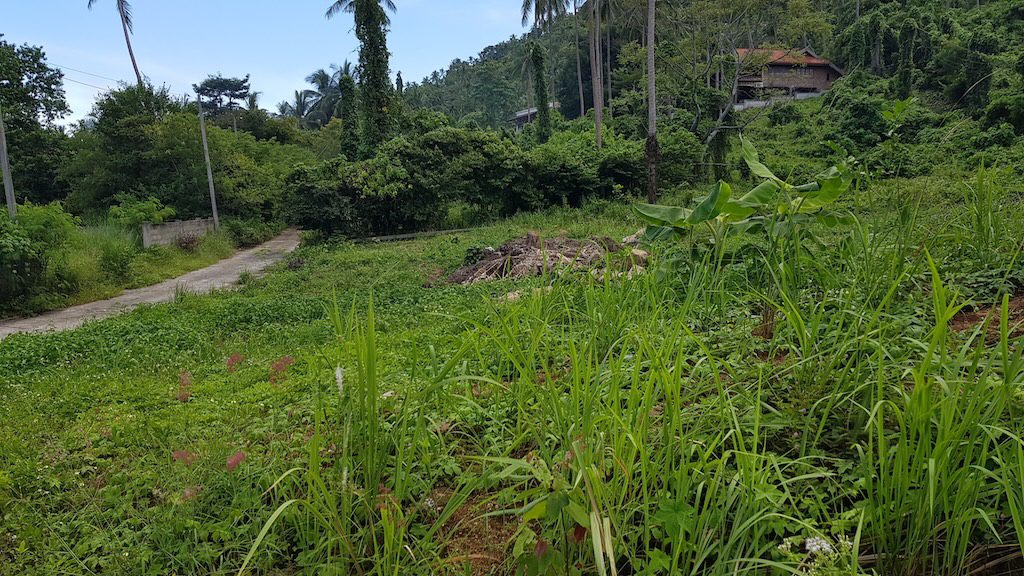 Koh Samui Land For Sale In Lamai