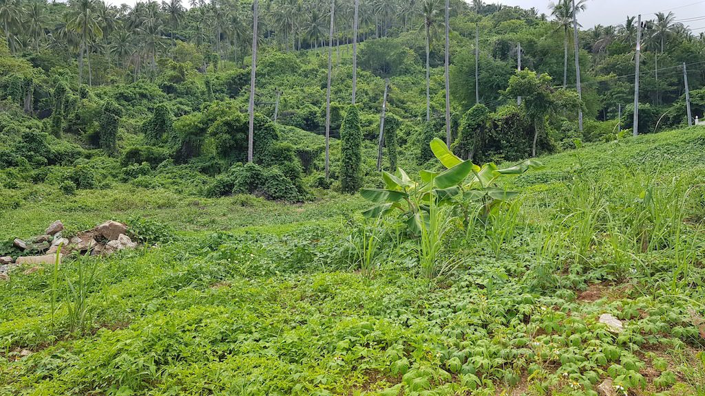 Koh Samui Land For Sale In Lamai 5