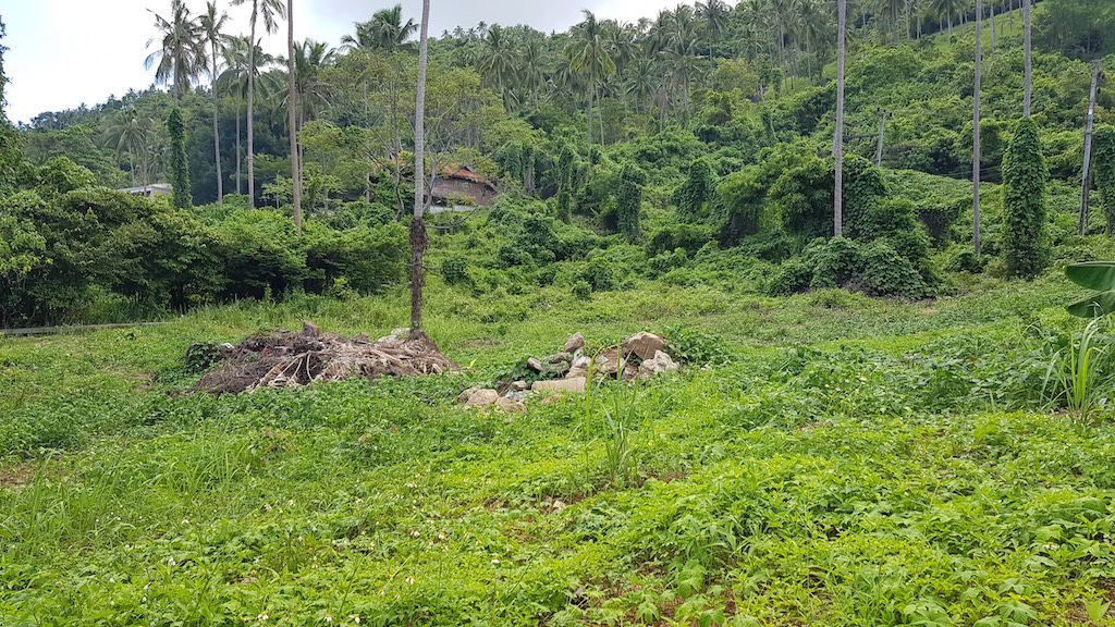 Koh Samui Land For Sale In Lamai