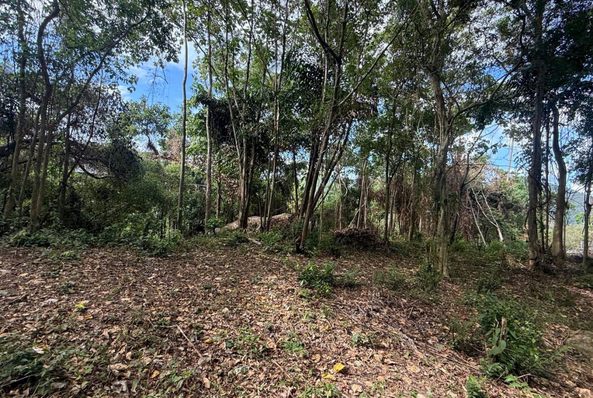 Koh Samui Land In Lamai For Sale