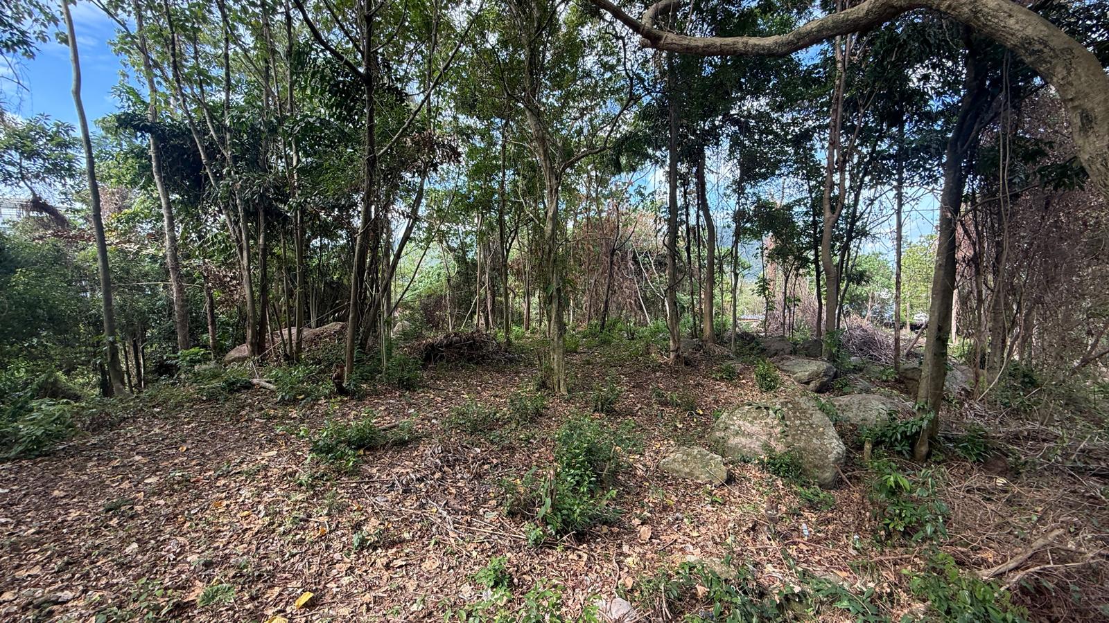 Koh Samui Land In Lamai For Sale Koh Samui Land In Lamai For Sale