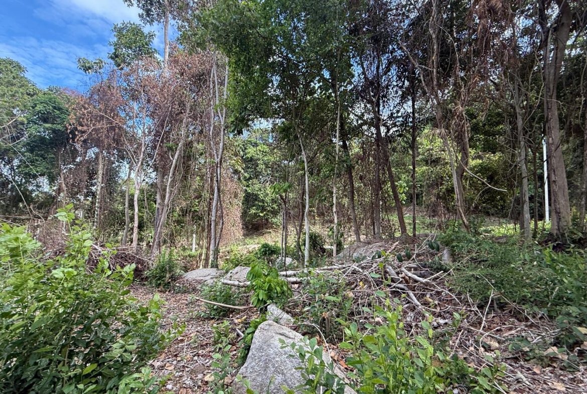 Koh Samui Land in Lamai For Sale