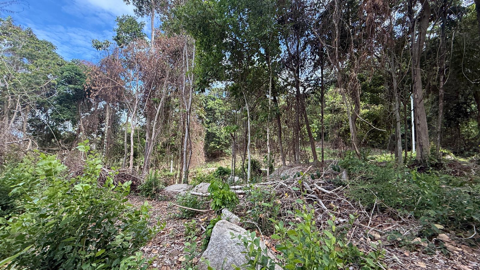 Koh Samui Land In Lamai For Sale Koh Samui Land in Lamai For Sale