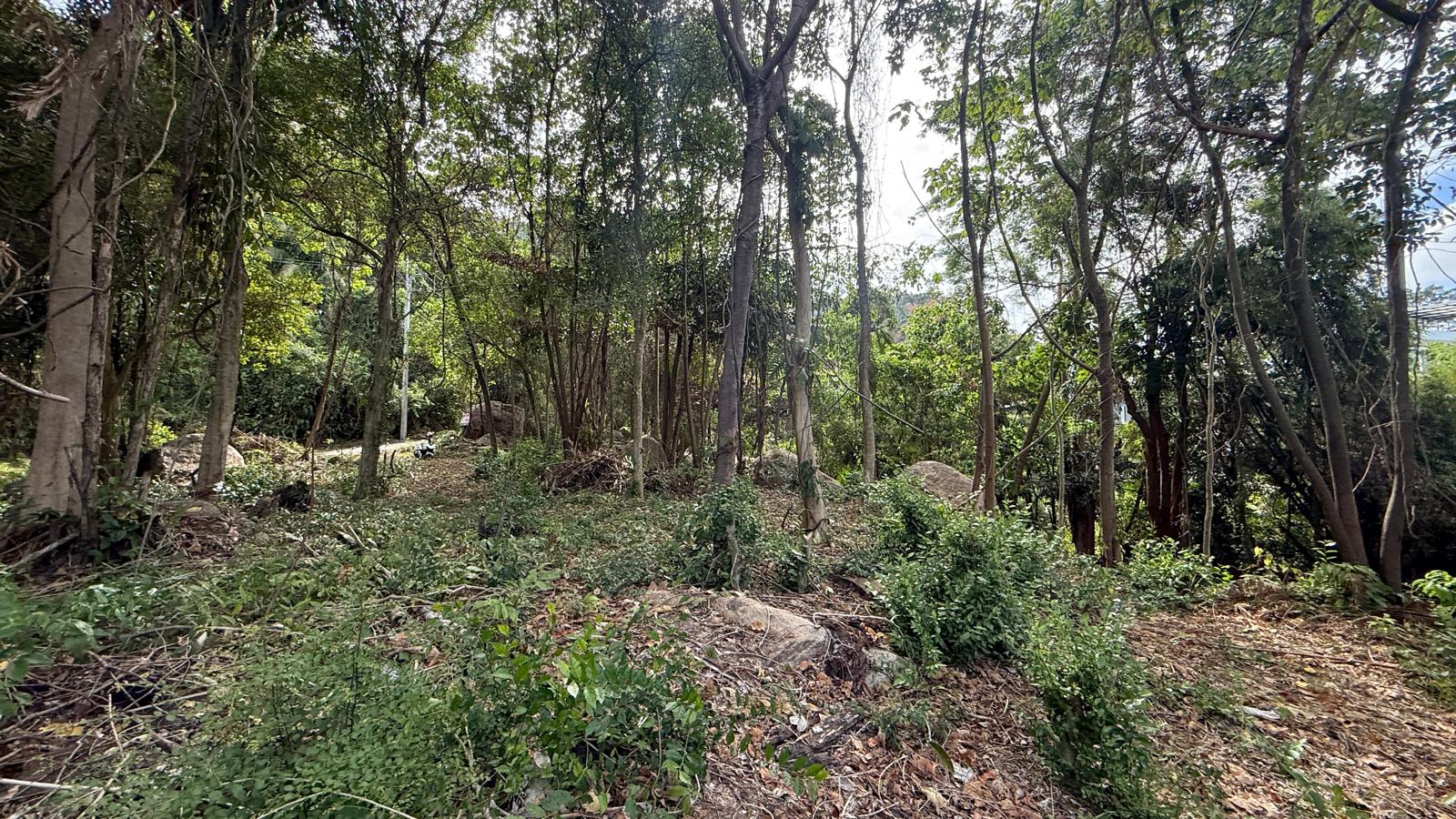 Koh Samui Land In Lamai For Sale Koh Samui Land In Lamai For Sale