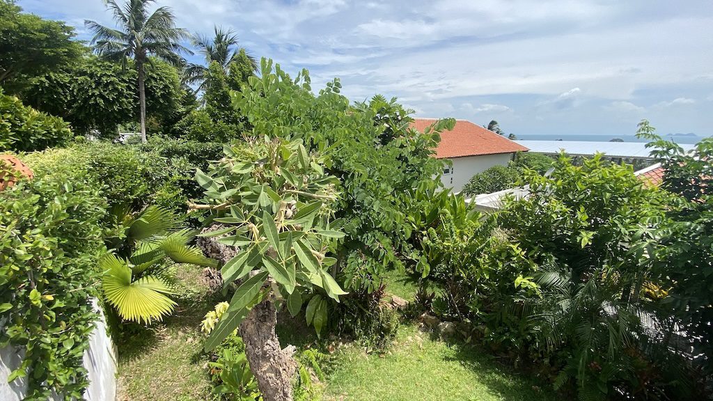 Koh Samui Property For Sale In Bang Po Rooftop