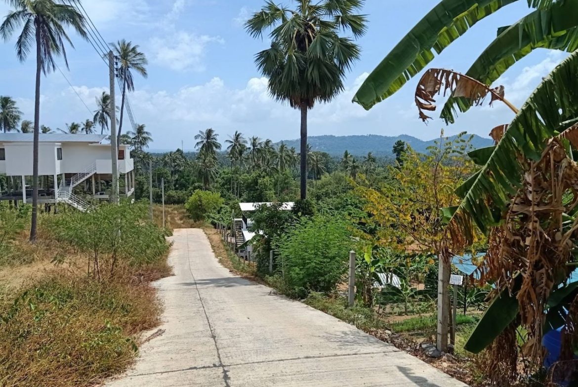 Lamai Land Plots For Sale Access Road