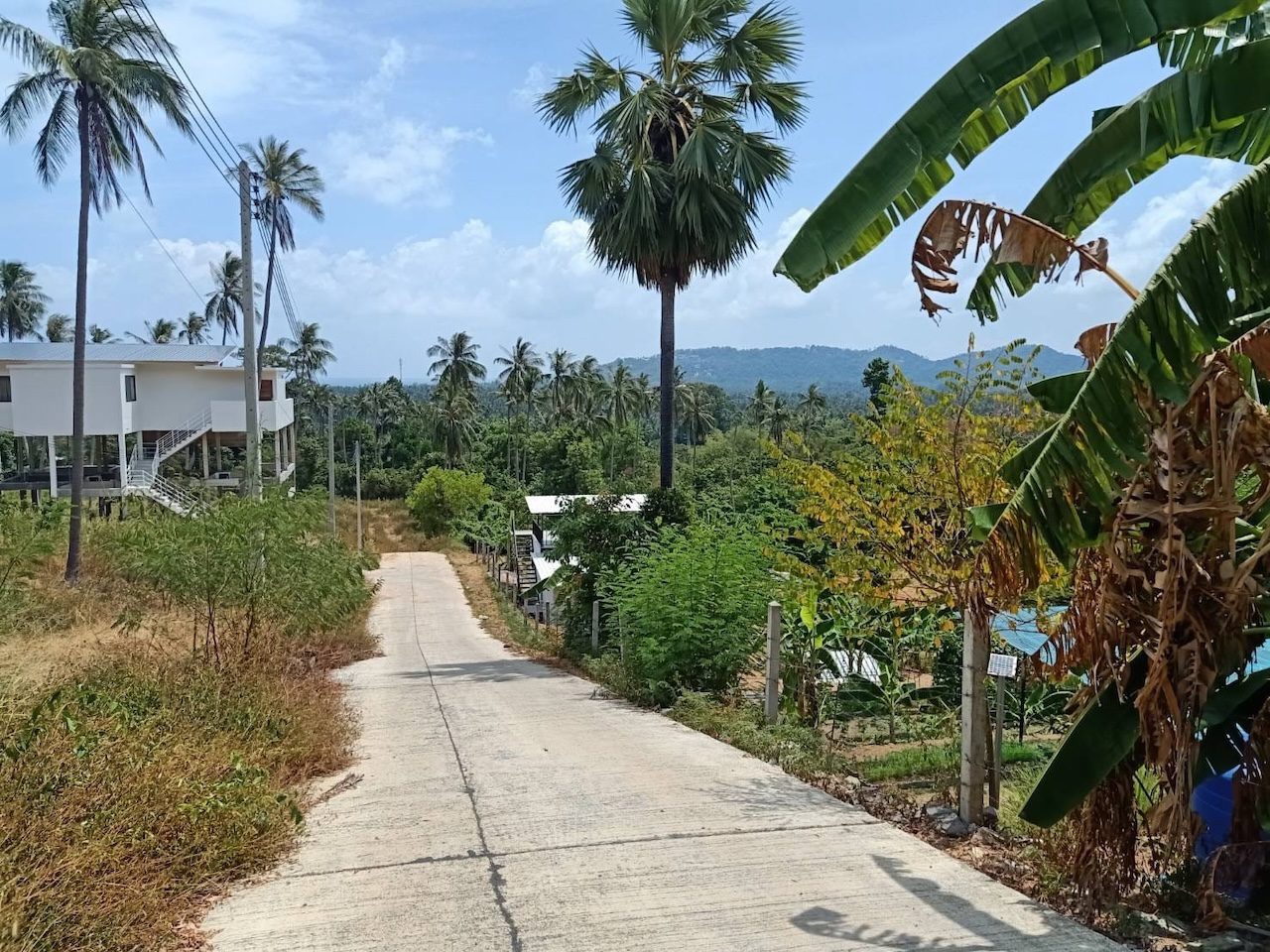 Lamai Land Plots For Sale Lamai Land Plots For Sale Access Road
