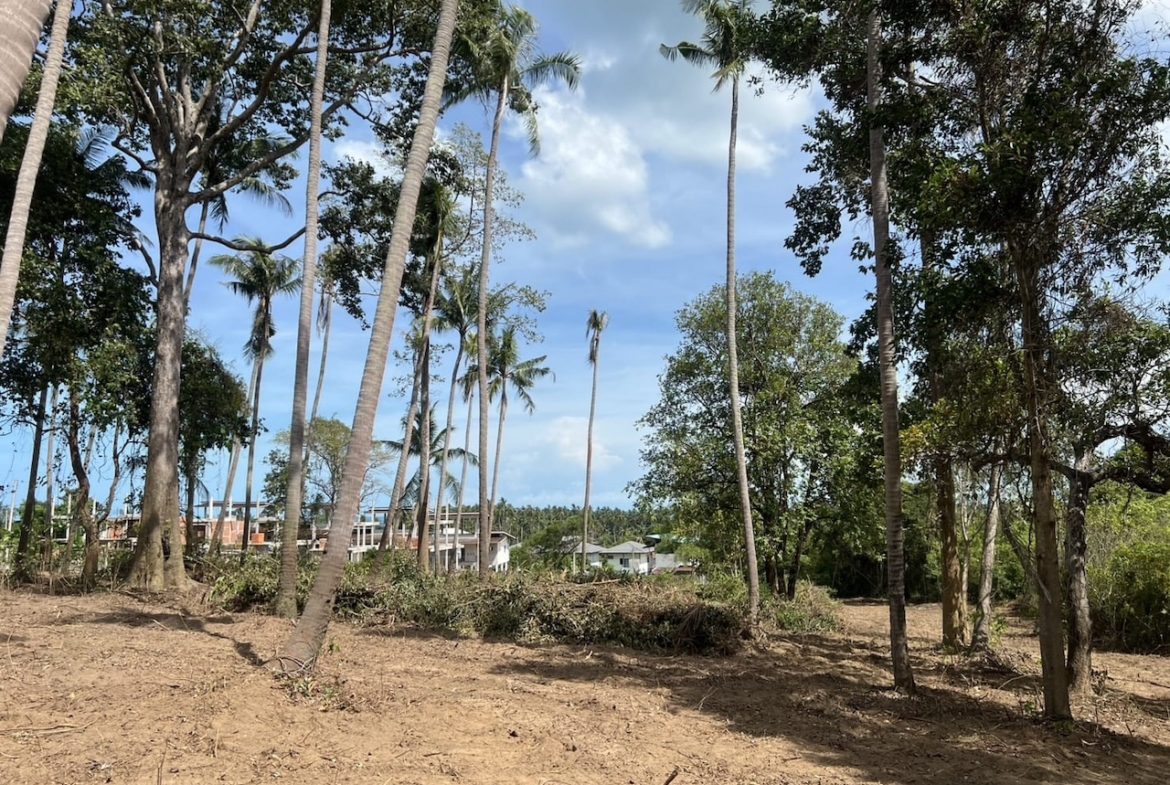 Lamai Land Plots For Sale