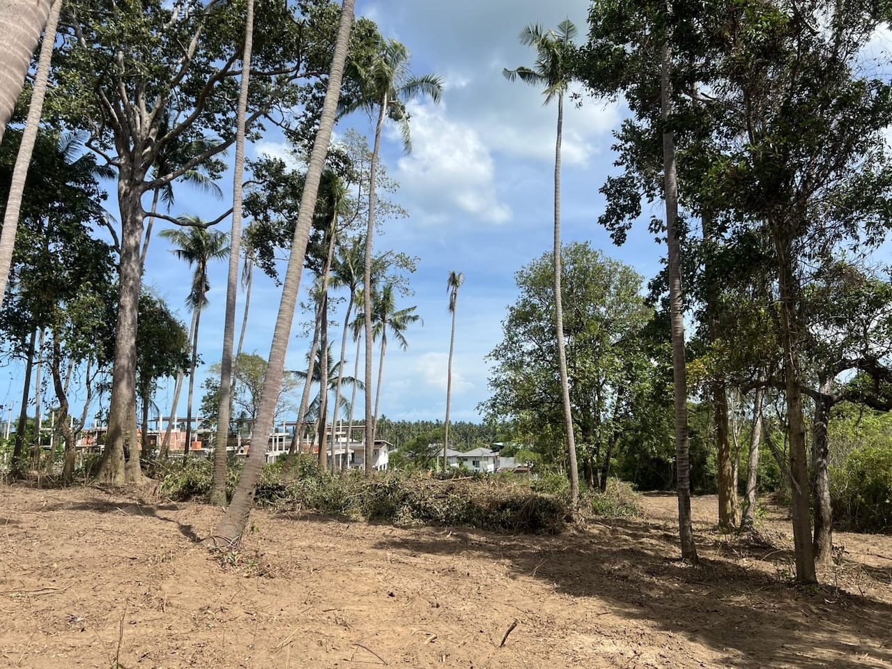 Lamai Land Plots For Sale Lamai Land Plots For Sale