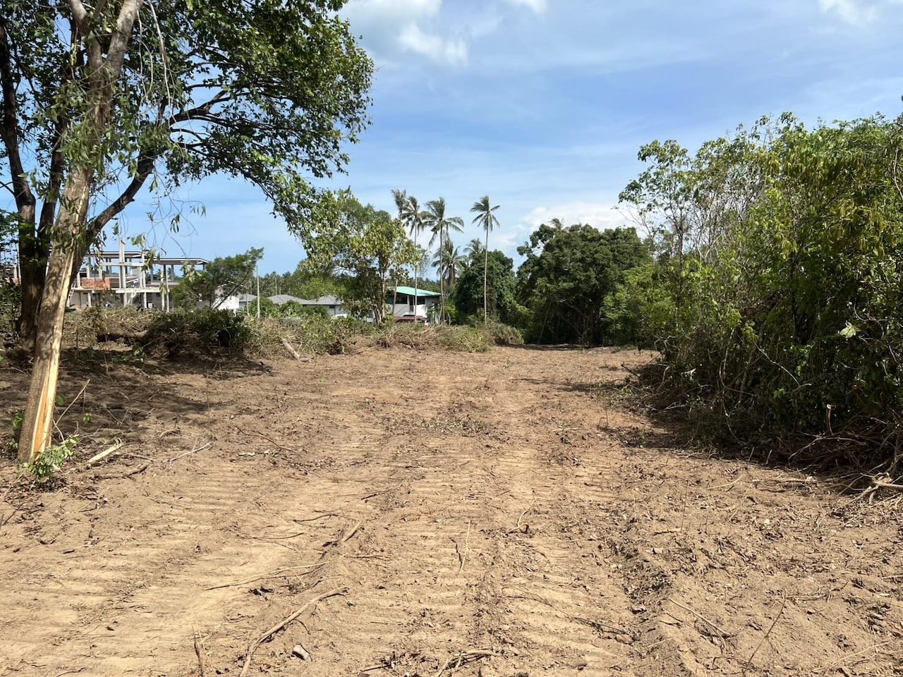 Lamai Land Plots For Sale Lamai Land Plots For Sale