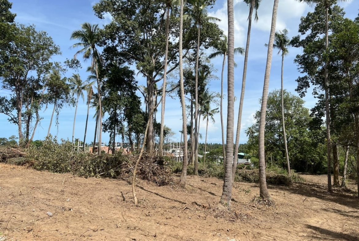 Lamai Land Plots For Sale