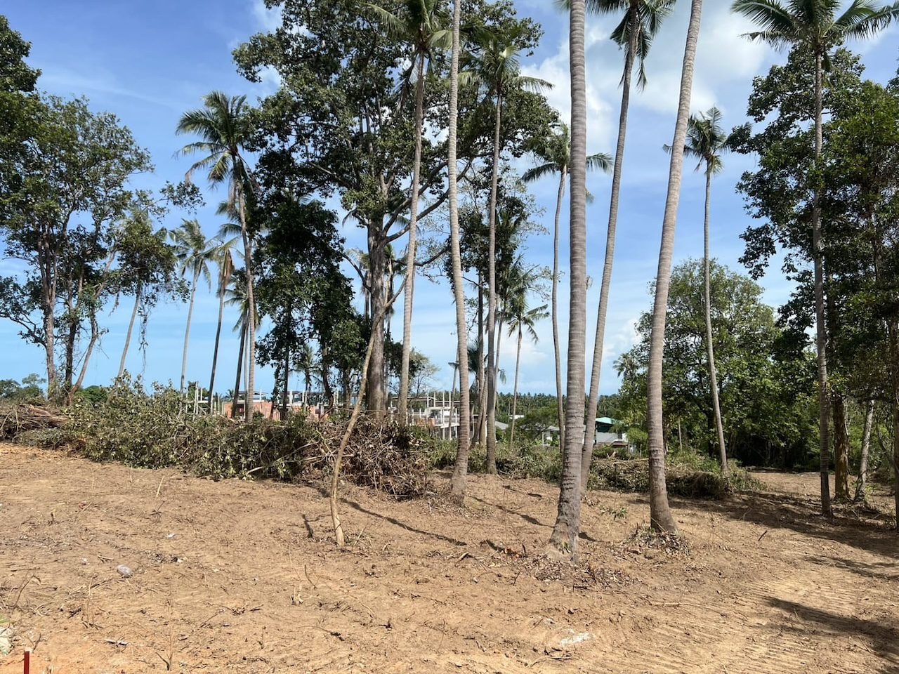 Lamai Land Plots For Sale Lamai Land Plots For Sale