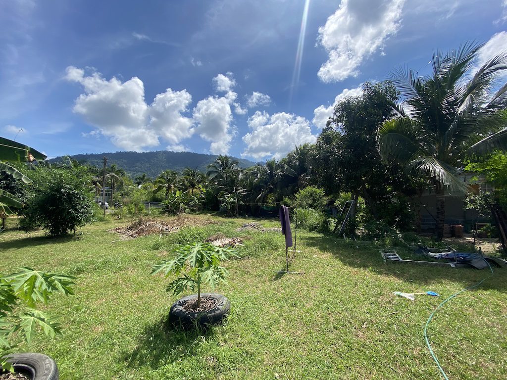 Land For Sale In Koh Samui Lamai Surrounding