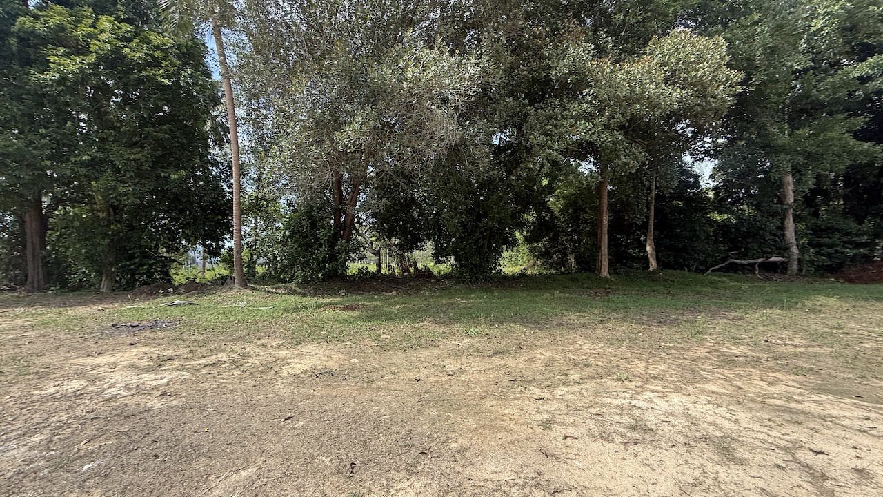 Lipa Noi Land Close To The Beach Lipa Noi Land Close To The Beach