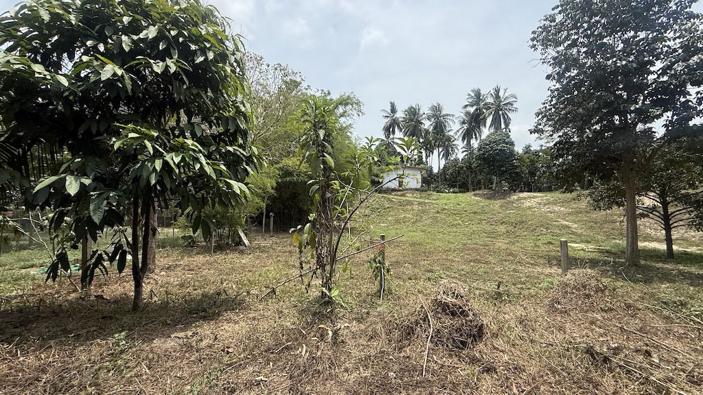 Maenam Building Plot