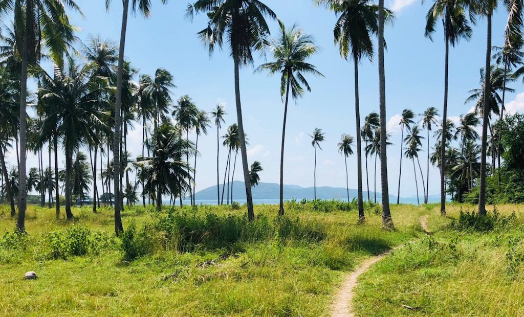 Phang Ka Beachfront Land For Sale