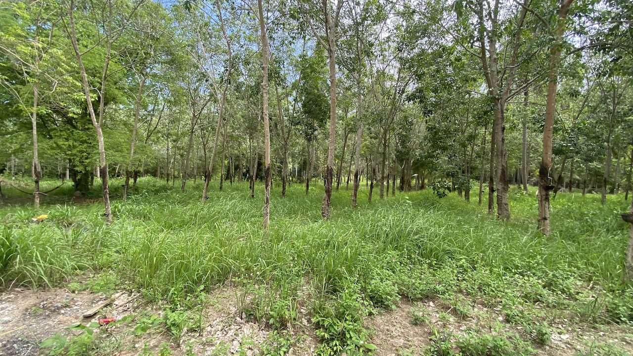Tong Krut Land Plots For Sale Tong Krut Land Plots For Sale