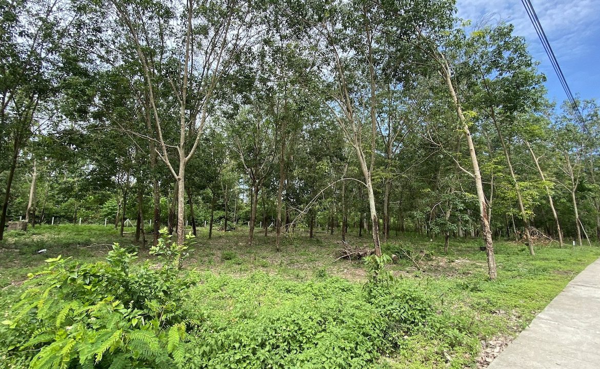 Tong Krut Land Plots For Sale