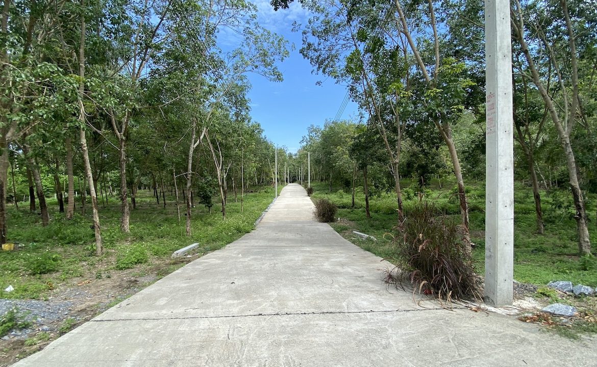 Tong Krut Land Plots For Sale Road
