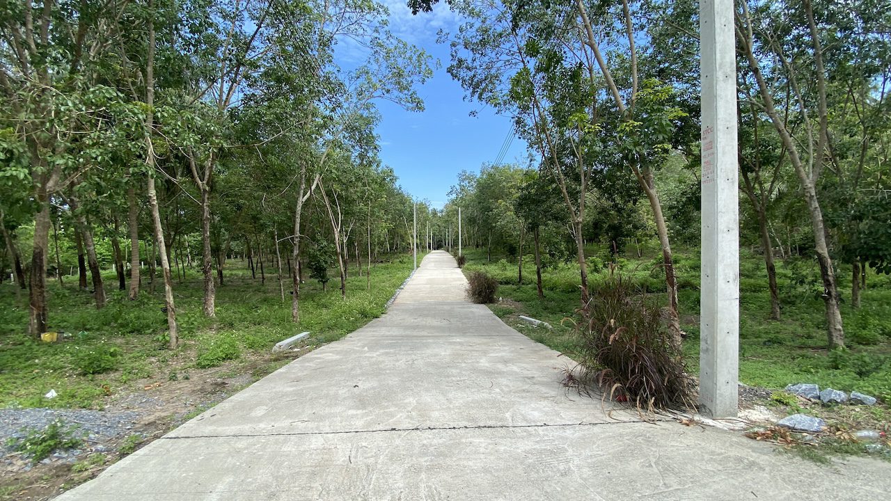 Tong Krut Land Plots For Sale Tong Krut Land Plots For Sale Road