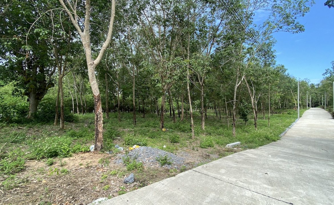 Tong Krut Land Plots For Sale Road