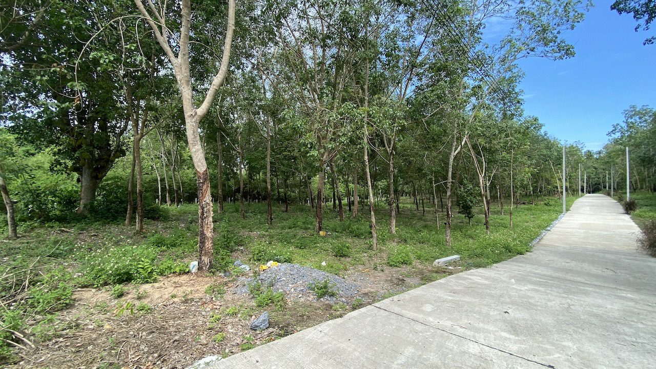 Tong Krut Land Plots For Sale Tong Krut Land Plots For Sale Road