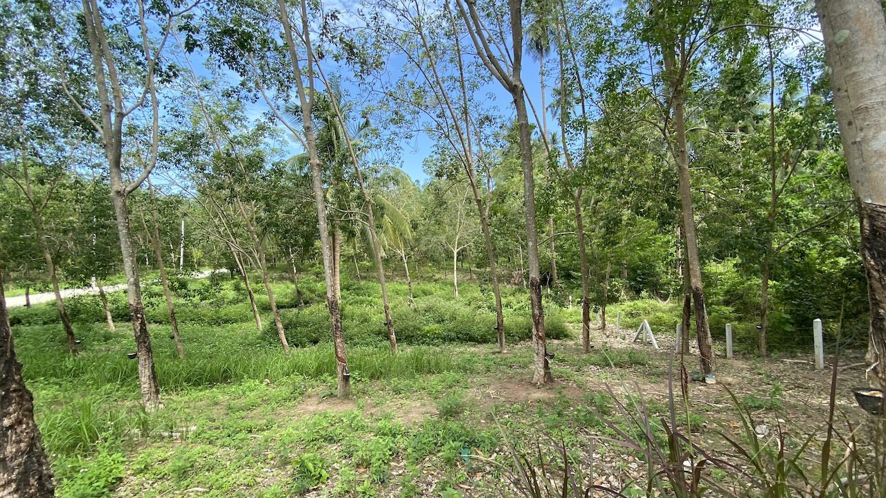 Tong Krut Land Plots For Sale Tong Krut Land Plots For Sale