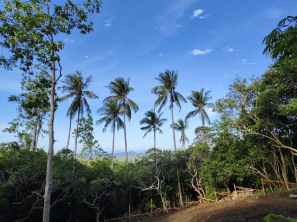 Na Muaeng Sea View Land Plot
